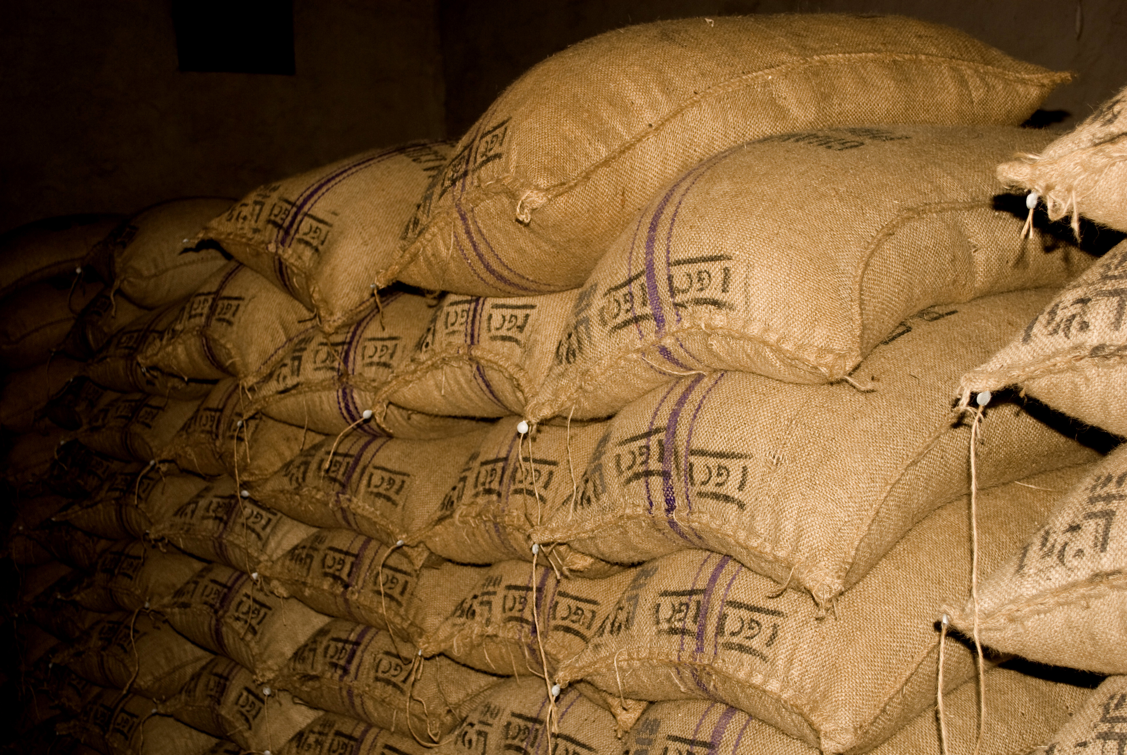 sacks of cocoa with lead cocobod seal